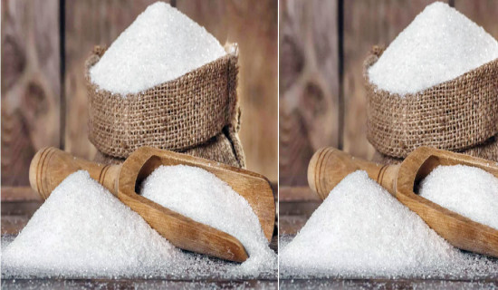 १६ औं राष्ट्रपति रनिङ शिल्ड प्रतियोगिता माघ २३ गतेदेखि