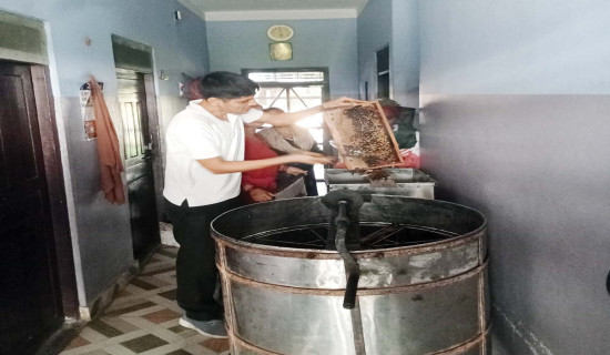 १६ औं राष्ट्रपति रनिङ शिल्ड प्रतियोगिता माघ २३ गतेदेखि