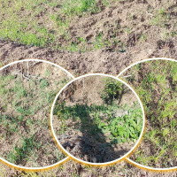 सवारीसाधनलाई विलासिताको वस्तुमा राखिएको विषयमा छलफल गर्छौंः अर्थमन्त्री