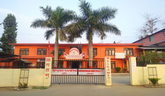 स्थानीय न्यायिक समितिको क्षेत्राधिकार