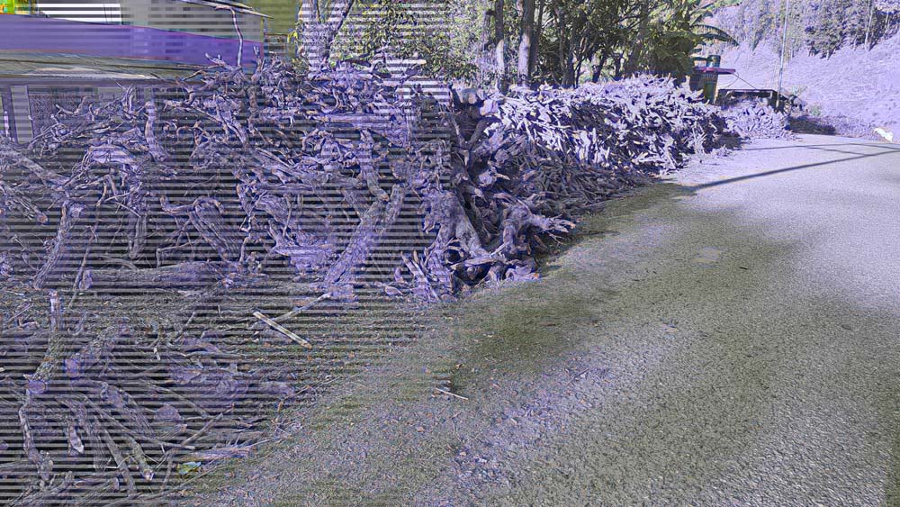 चुत्रोको जरा उखेल्न बस्ती खाली