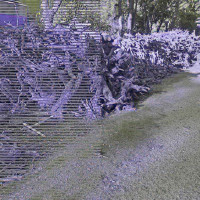 स्थानीय न्यायिक समितिको क्षेत्राधिकार