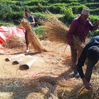 क्यान्सर अस्पताल खजुरामा भिडियो एक्सरे सेवा बन्द, बिरामीलाई समस्या