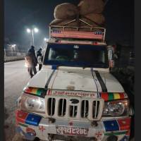 स्वभाव अनुसार कुकुरको जिम्मेवारी