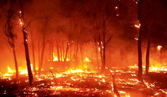 लगभग ७० लाख अष्ट्रेलियाली घातक जङ्गली आगोको जोखिममा बस्छन् : प्रतिवेदन