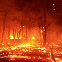 फुटकर व्यापारीको उत्साहपूर्ण रङको व्यापार (फोटो फिचर)