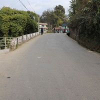 जङ्गली हात्ती मकुनाको मृत्यु