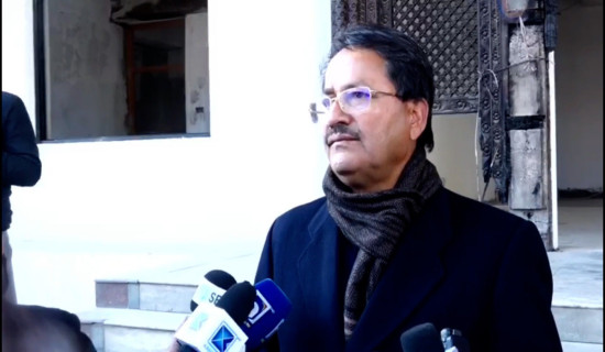 उपप्रधानमन्त्री श्रेष्ठ स्वदेश फिर्ता