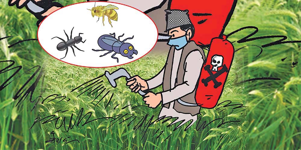 परामर्श नहुँदा विषादीले ढाकिन्छ तरकारी