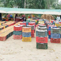 मौद्रिक नीतिमा चेम्बरको उनन्चालिसबुुँदे सुझाव