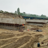 गोलभेँडाको निर्यात बढेसँगै नेपाली बजारमा मूल्य आकासियो