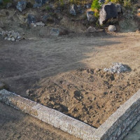 बाघ र गैँडा आतङ्क : ९ महिनामा २ को मृत्यु ८ घाइते