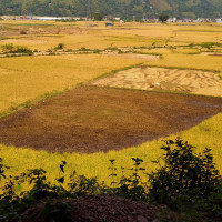 युवाका लागि उद्यमशीलता र रोजगारी सृजनामा सरकारको उच्च प्राथमिकता रहनेछ: प्रधानमन्त्री