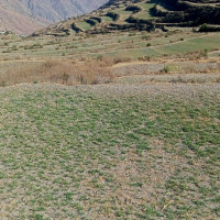 बाजुराका ग्रामीण सडक सञ्चालनमा ल्याउँदै स्थानीय तह