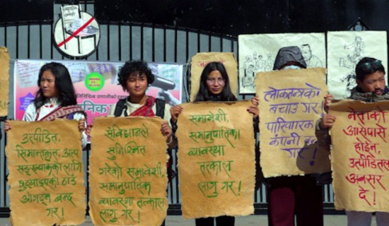 समानुपातिक समावेशी निर्वाचन प्रणाली दुरुपयोगविरुद्ध प्रदर्शन