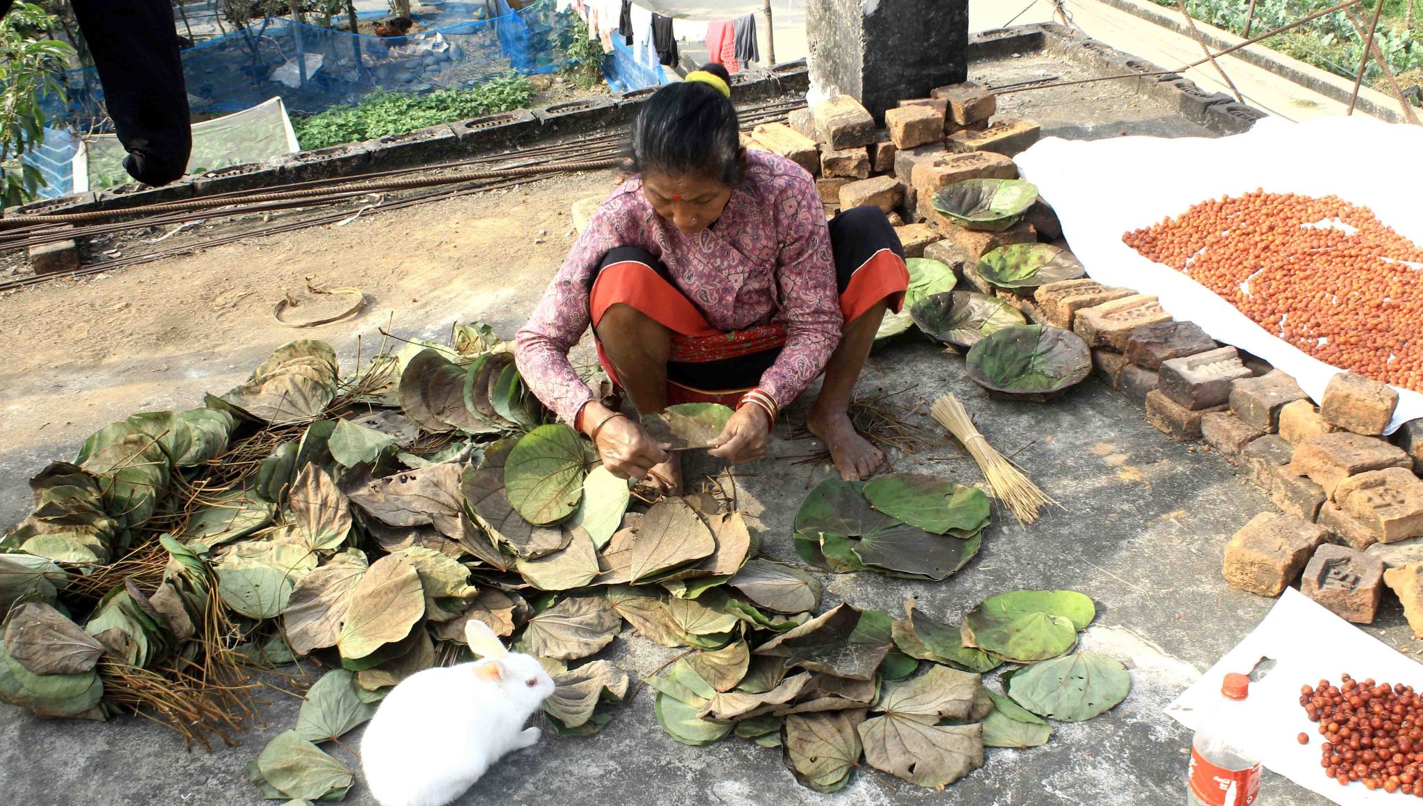माघीको तयारीमा जुट्यो थारू समुदाय