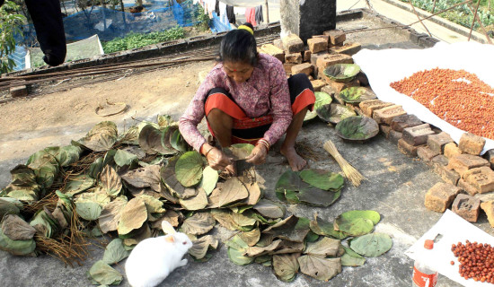 कालीगण्डकी कोरिडोर निर्माण तीव्र