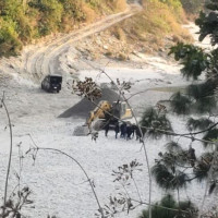 सर्केगाडको उपाध्यक्षमा माओवादीकी  तिमिल्सिना निर्वाचित