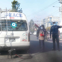 वनमा लागेको डढेलो बस्तीमा पस्दा दुई घर जले