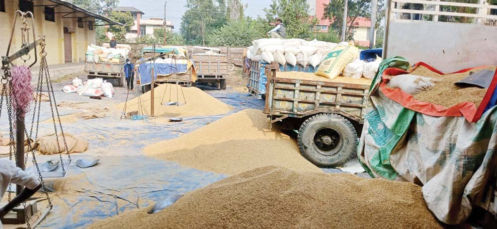 एक लाख बत्तिस हजार क्विन्टल धान खरिद