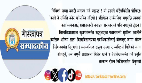 मूल्य बढ्दा सुनको आयात घट्यो