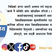 डेङ्गुको उच्च जोखिममा बागमती