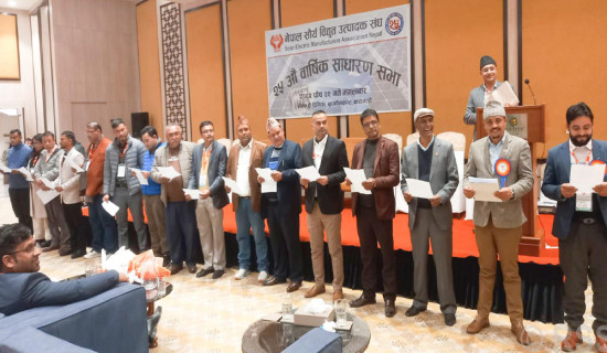 सौर्य विद्युत् उत्पादक सङ्घको अध्यक्षमा मल्ल