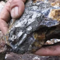 नेपाल  ट्रस्टको जग्गा हिनामिना प्रकरण : सिआइबीको अनुसन्धान पूरा