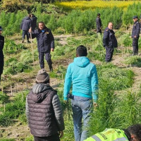 बालबालिकाका लागि ‘डिजिटल लिटेरेसी’को महत्त्व : कक्षाकोठामा कसरी प्रवर्द्धन गर्ने