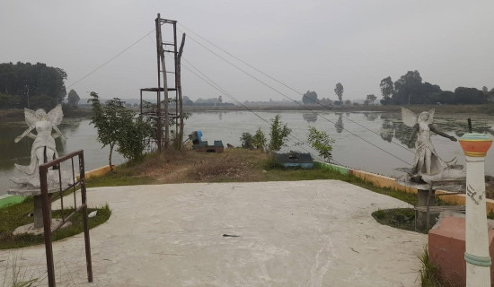 निराशा बढ्यो भनेर सङ्घीय व्यवस्था माथि दोष थोपार्नु हुँदैन : नेता निधि