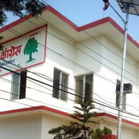 ‘नयाँ सरकार आएसँगै राजनीतिक स्थायित्व भयो’