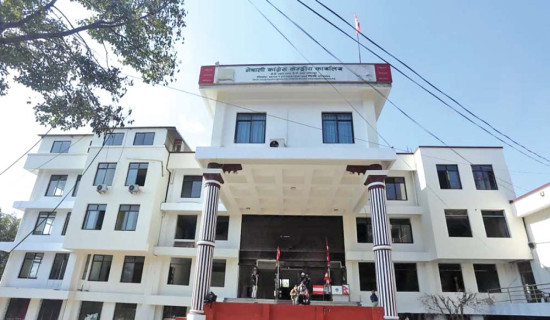 विशेष महाधिवेशन तत्काल रोक्न कांग्रेसको अपिल