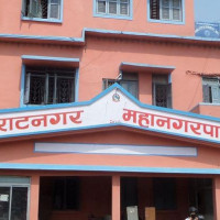 वेस्ट इन्डिज विरुद्धको शृङ्खला जित नेपाली क्रिकेटमा महत्वपूर्ण फड्को