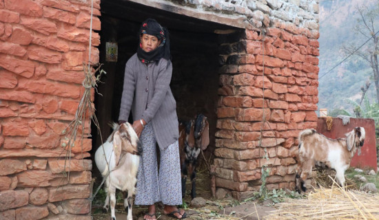 आर्थिक सामाजिक जोखिम व्यवस्थापन सूचना प्रणाली प्रभावकारी