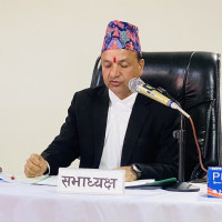 चुरेमा प्रहरीद्वारा ५१ हजार गाँजाका बोट नष्ट