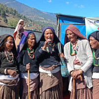 चुरेमा प्रहरीद्वारा ५१ हजार गाँजाका बोट नष्ट