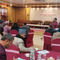 चुरेमा प्रहरीद्वारा ५१ हजार गाँजाका बोट नष्ट