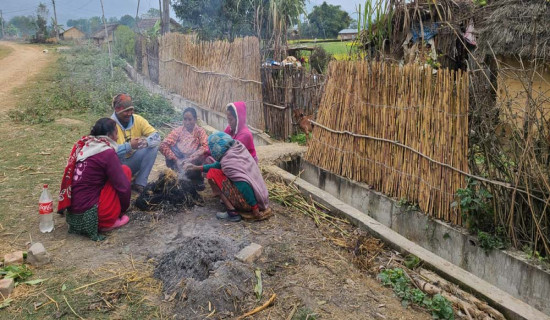 गाडीको ठक्करबाट पैदलयात्रुको मृत्यु
