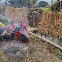 कृष्णसारको सङ्ख्या छ गुणाले वृद्धि