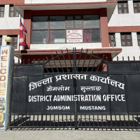 तनहुँमा लोपोन्मुख प्रजातिको अजिङ्गर फेला