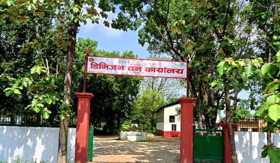 बाँकेमा पाँच लाखभन्दा बढी बिरुवा वितरण