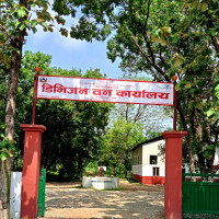 पहिरोमा दुई हजारभन्दा बढी मानिस पुरिएको पपुवा न्यू गिनीद्वारा राष्ट्र सङ्घलाई जानकारी