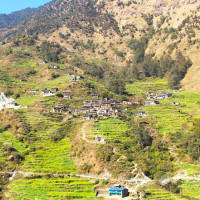 छोङछिङस्थित कृषि विज्ञान प्रतिष्ठानको अवलोकन गर्नुहुँदै प्रधानमन्त्री प्रचण्ड