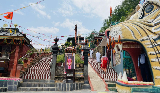 सङ्ग्रहालयको वार्षिक आम्दानी करोडभन्दा बढी