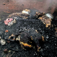 प्रधानमन्त्री ओली आइतबार विश्वासको मत लिनुहुँदै