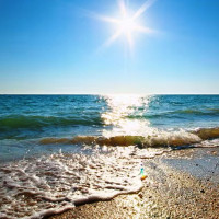 उपनिर्वाचनमा केन्द्रित हुन एमालेको निर्देशन