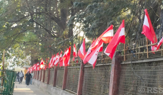 पशुपतिको भेटी चोरी प्रकरण : ढोडारीको घरबाट छ लाख बरामद