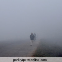 तीन वर्षसम्म खोजिएन लम्पीको रोकथाम,पशुधनमा चालिस अर्बको क्षति