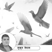 नेपाल–चीनबिच औद्योगिक तथा पूर्वाधार विकासदेखि गरिबी निवारणसम्मको सम्झौतामा हस्ताक्षर