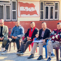 सल्यानमा बाघको आक्रमणबाट एक महिलाको मृत्यु